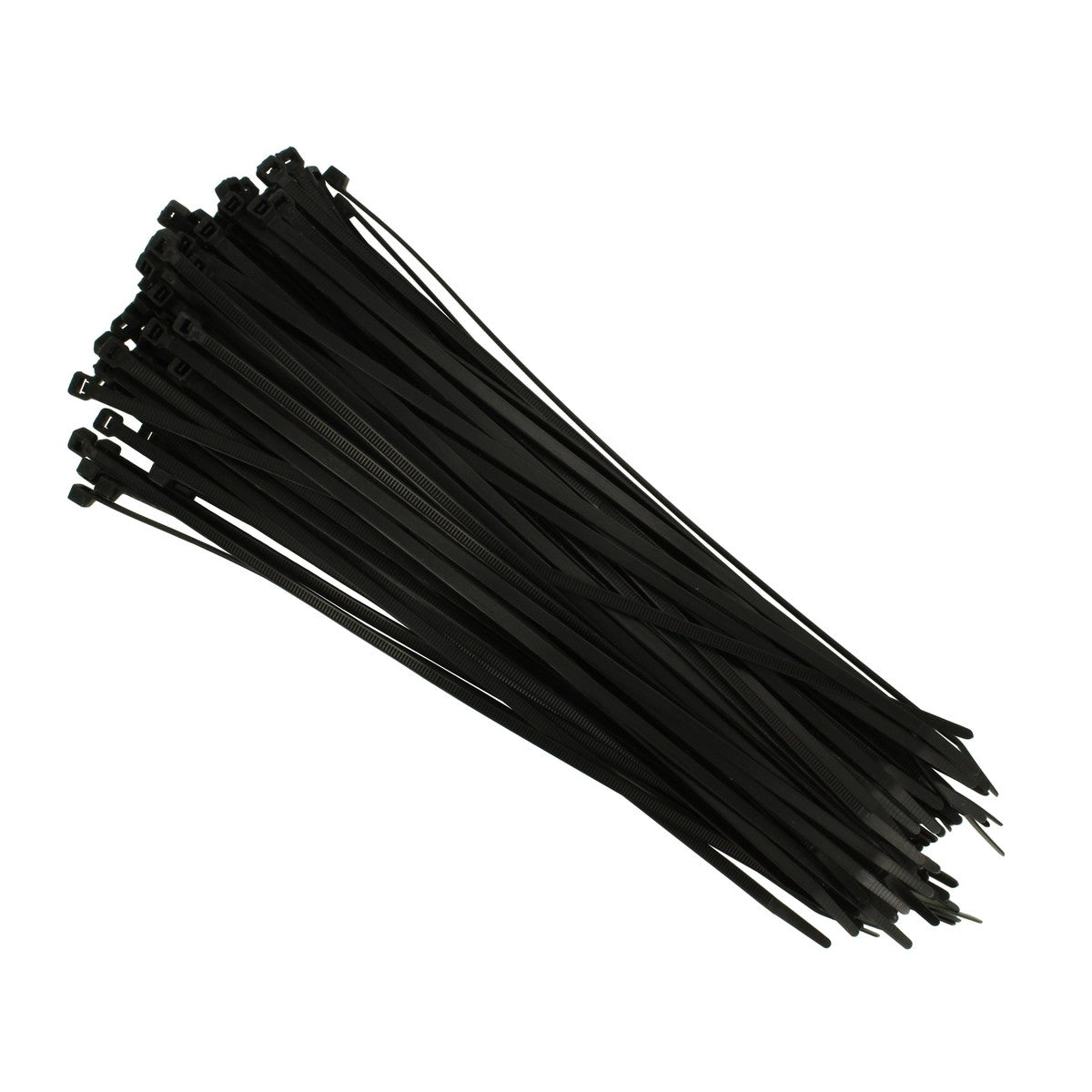55-SE-01B.jpg