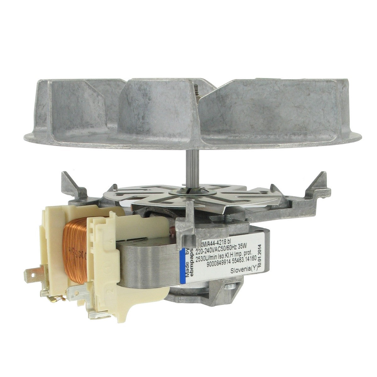 100-BS-42512.jpg