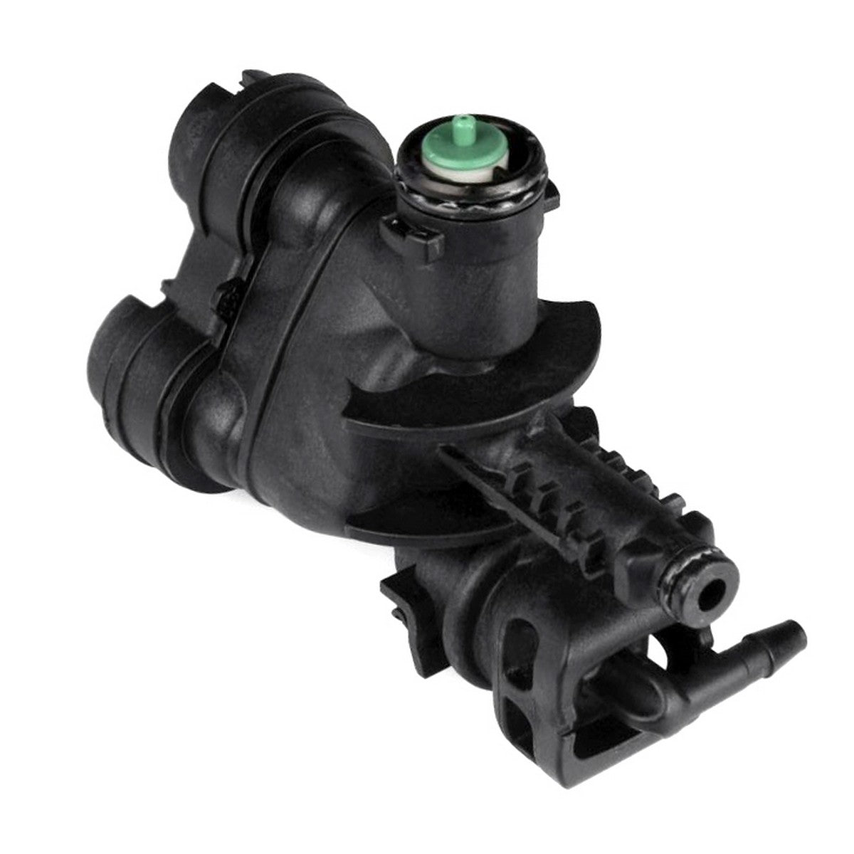 113-KA-30381.jpg