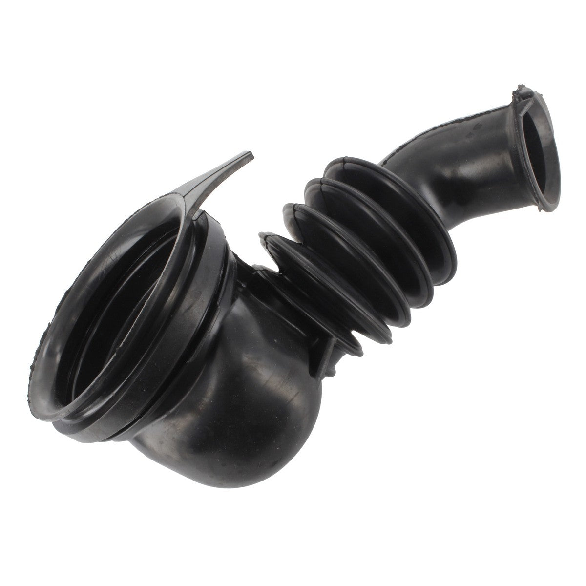 37-ML-11.jpg