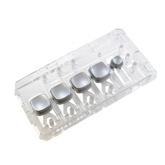40-BO-02.jpg