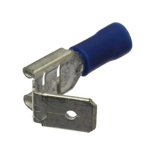 55-TE-03.jpg