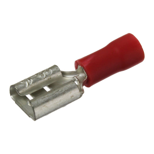 55-TE-10.jpg